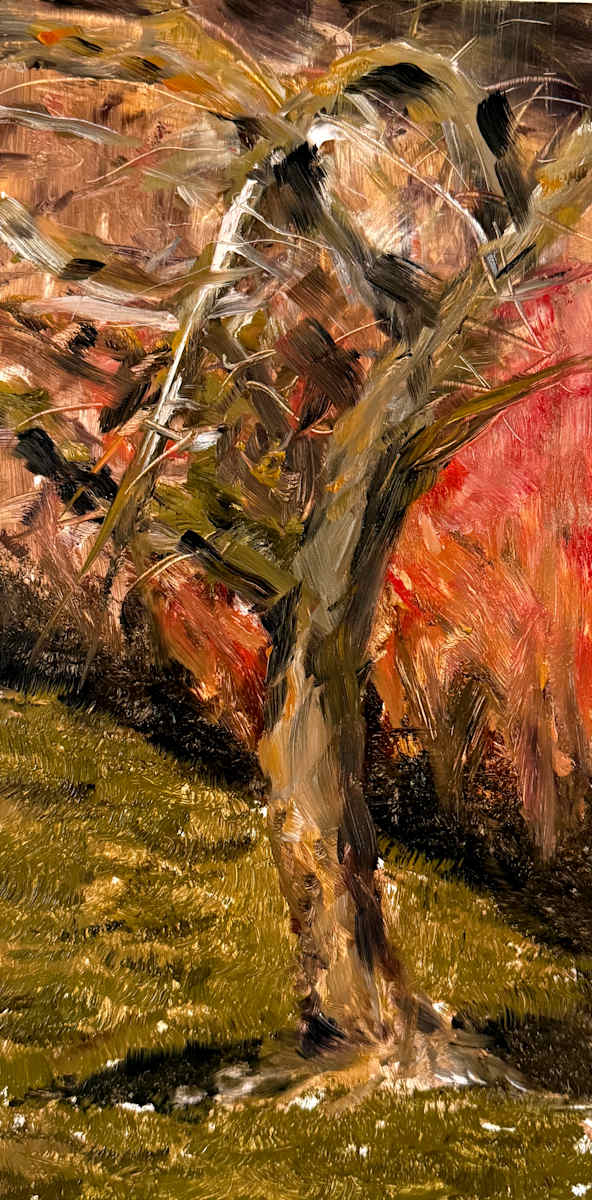 Oil painting of a twisting apple tree with dynamic brushstrokes, set against a backdrop of warm reds and browns with green grass in the foreground